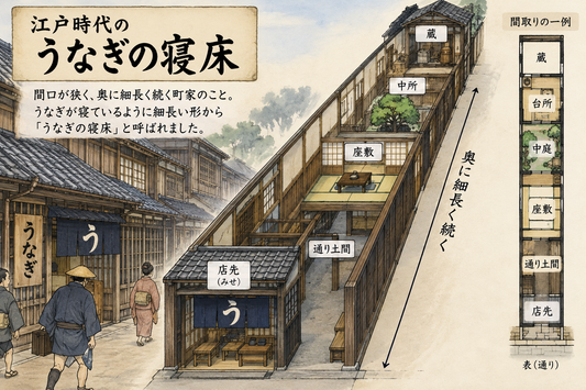 「うなぎの寝床」の語源にも!?意外と知らないうなぎの生態